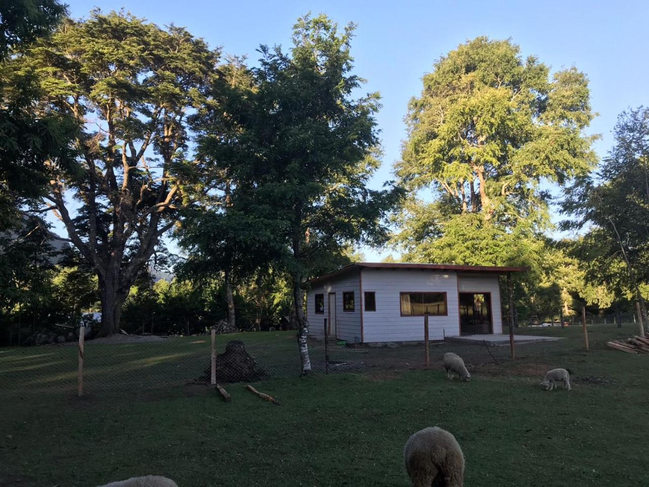 Caba�a de Dami�n