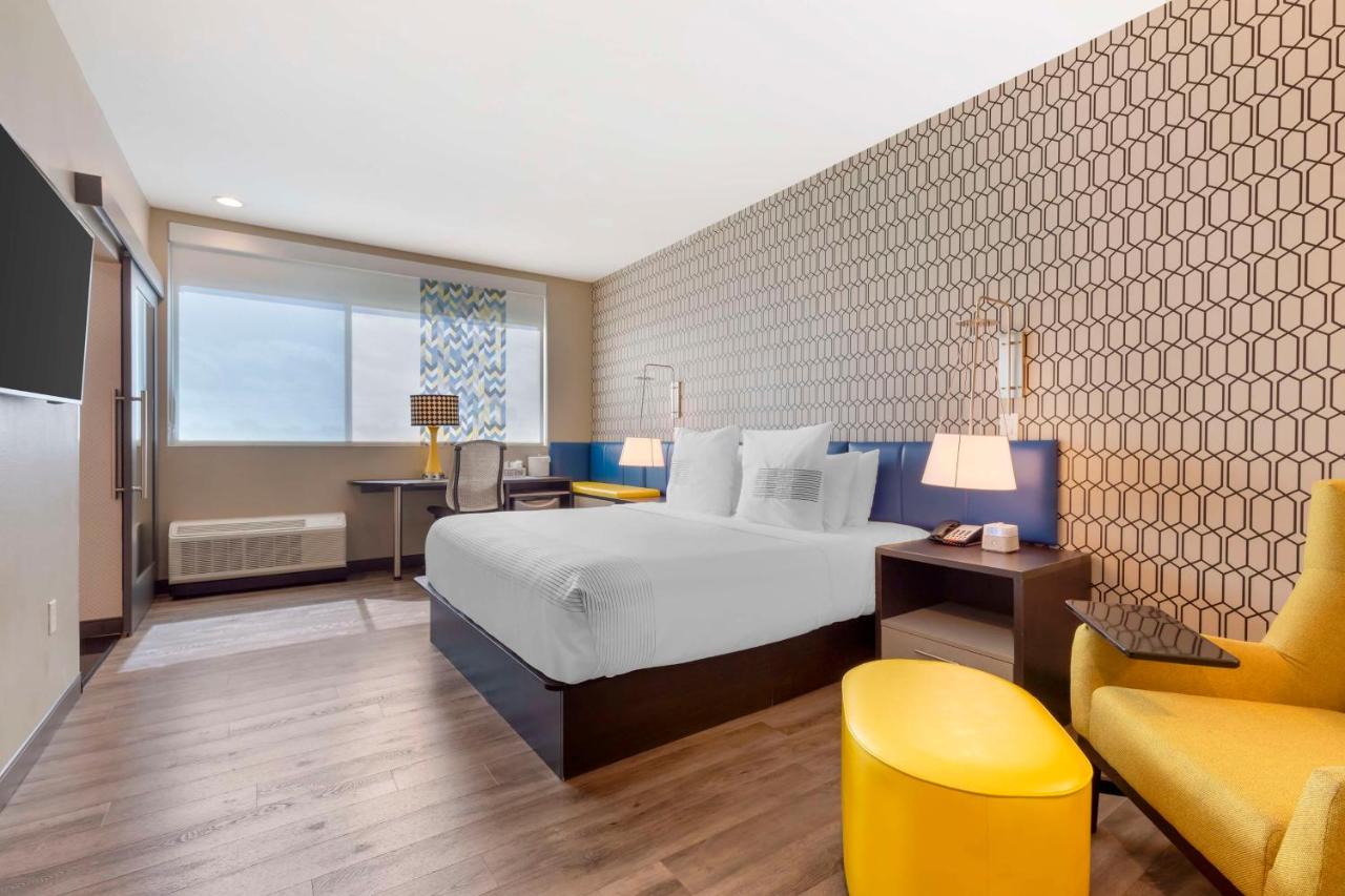 Image: GLō Best Western Dallas South DeSoto