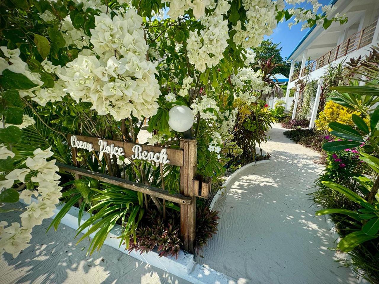 Image: Ocean Voice Beach Resort & Diving