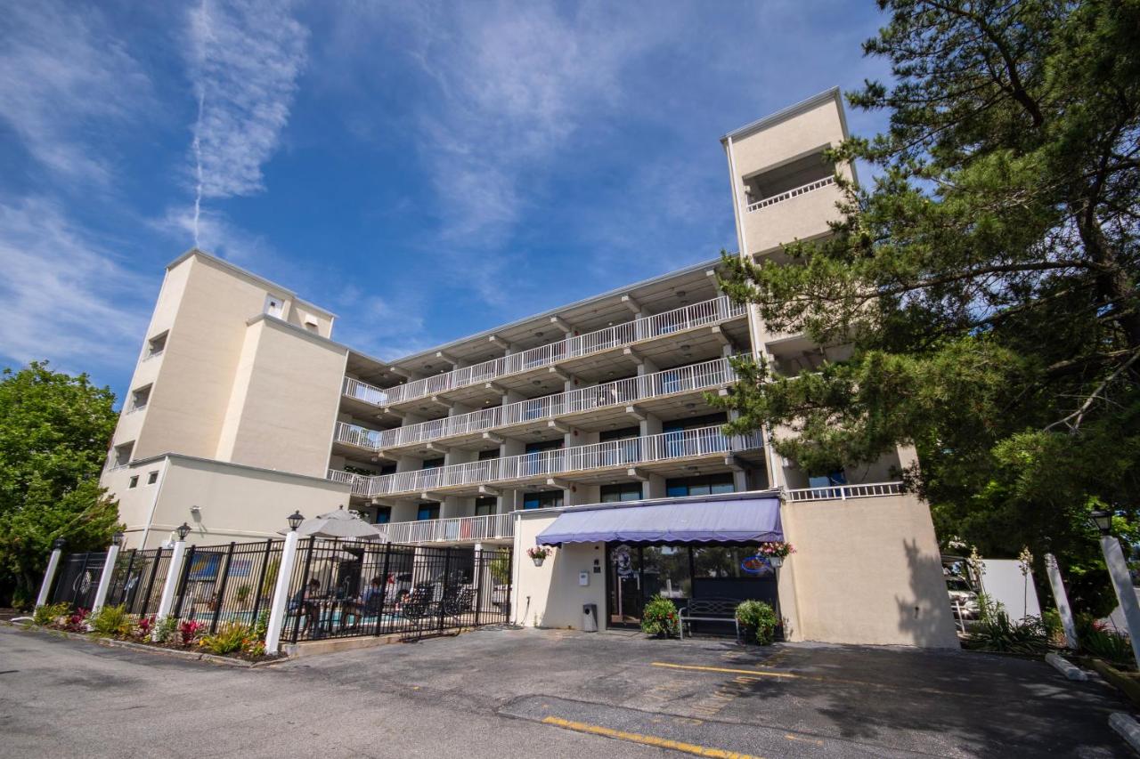 Image: Barefoot Mailman