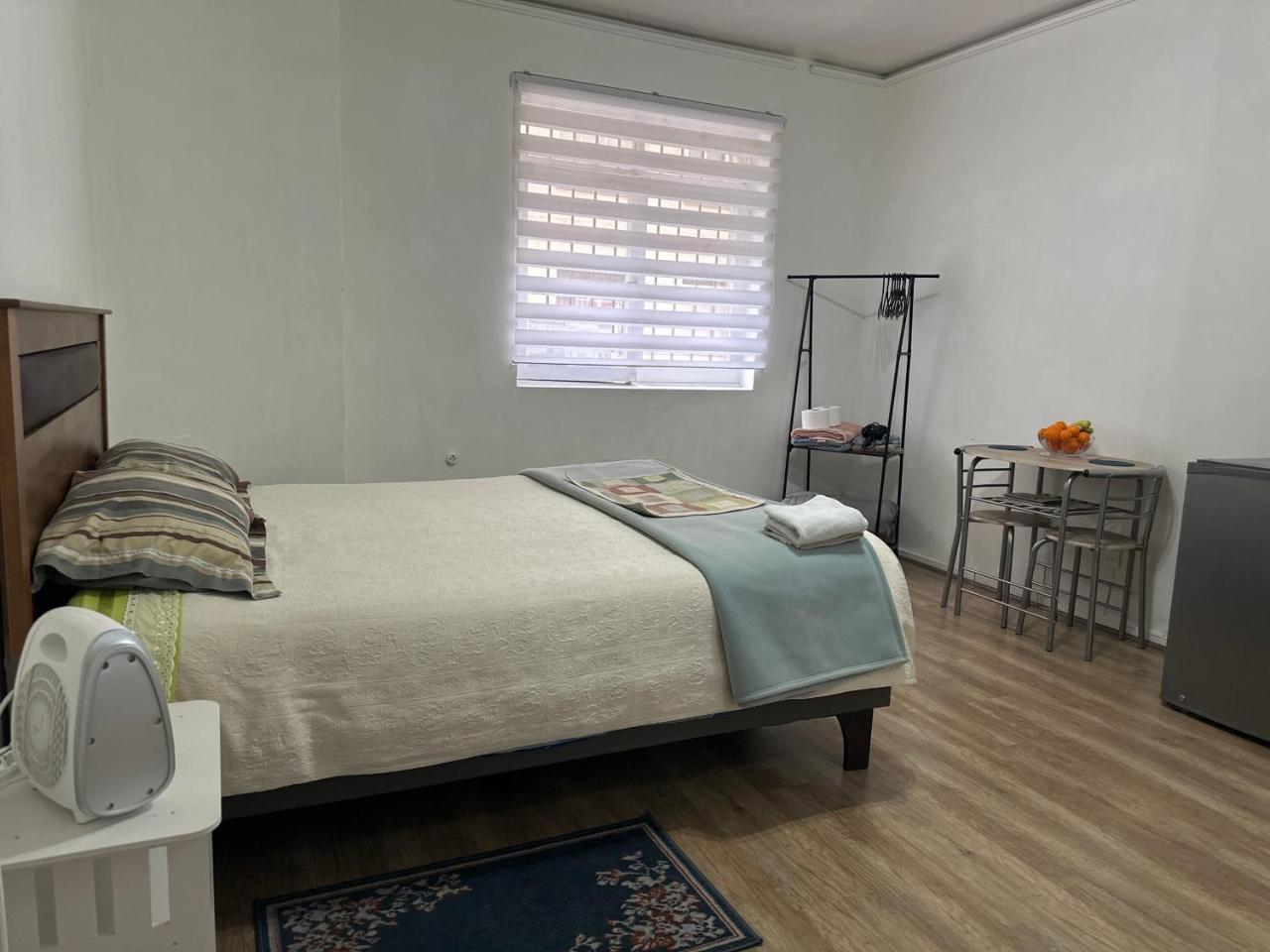 Santiago - departamento 1 ambiente A pasos del Metro Santa Luc�a y Universidad de Chile