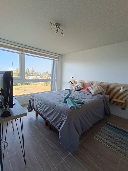 Hermoso departamento Isla Teja