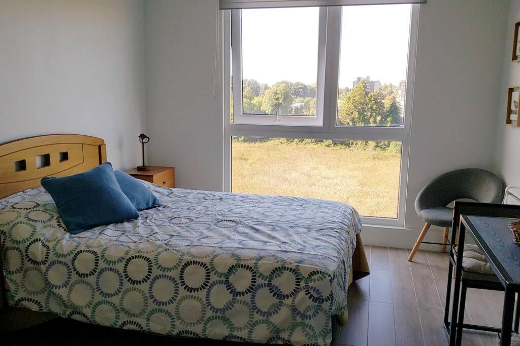 Departamento estudio Isla Teja