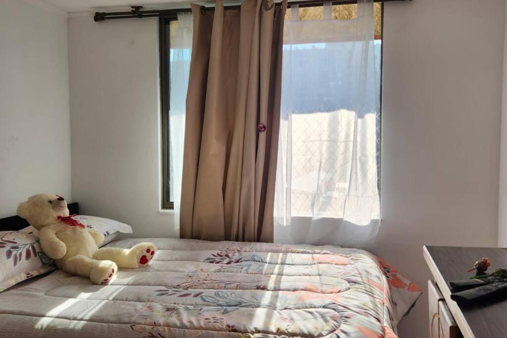 Central Department Flat