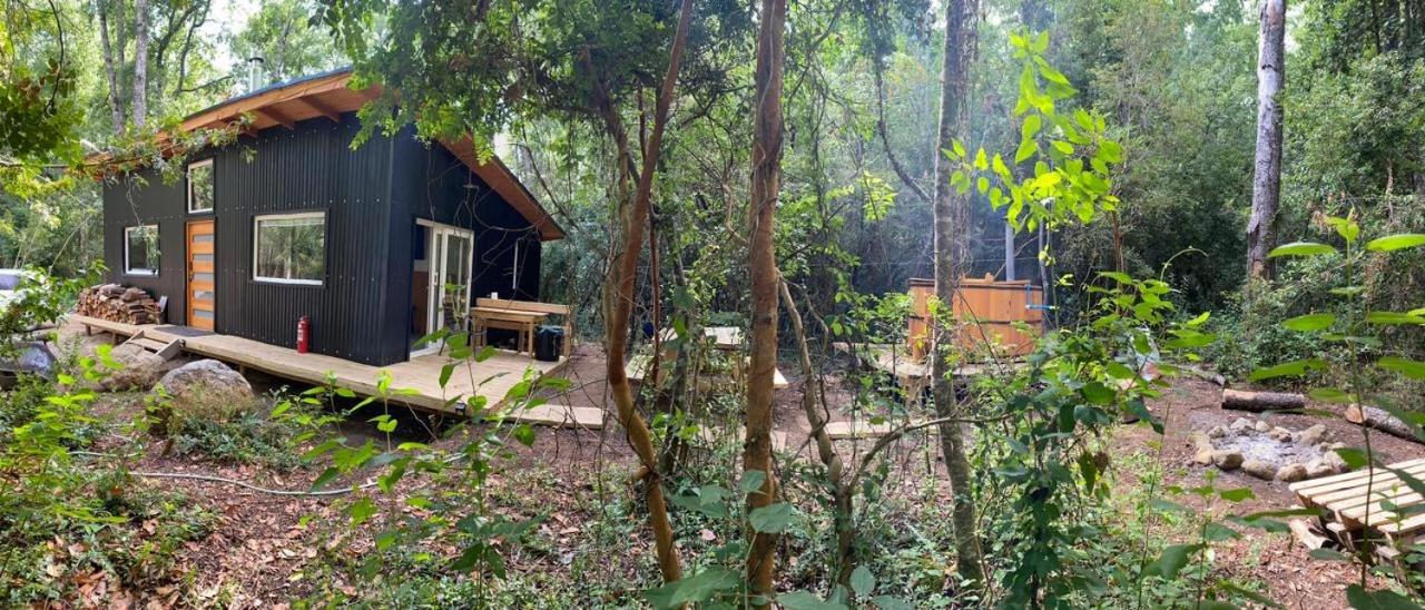 Caba�a en medio de bosque nativo Molco Bosques de Molco