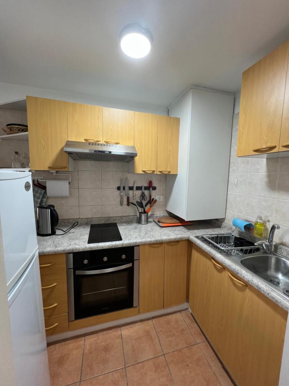 Frutillar borde lago