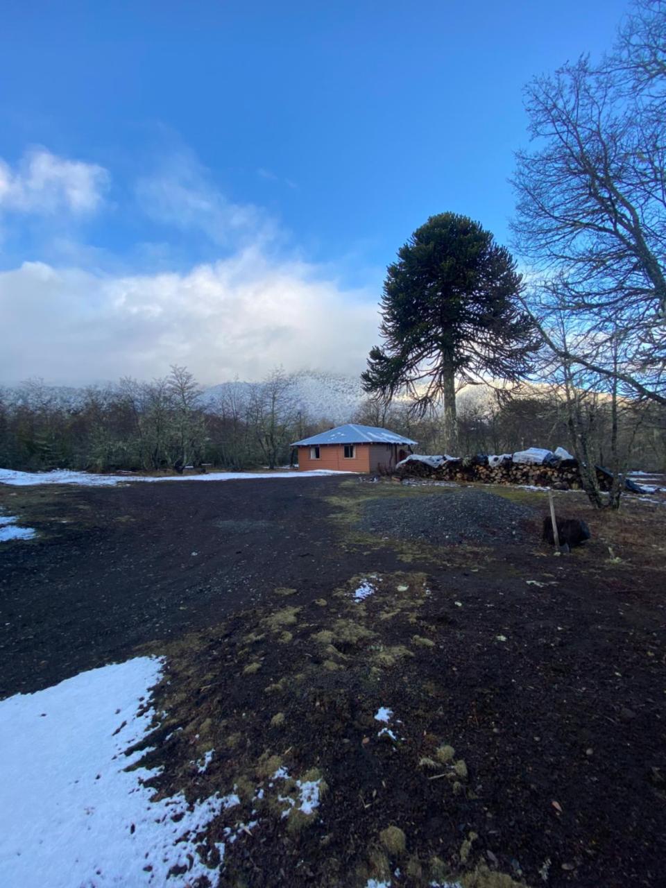 Caba�a en Malalcahuello centro de ski Corralco