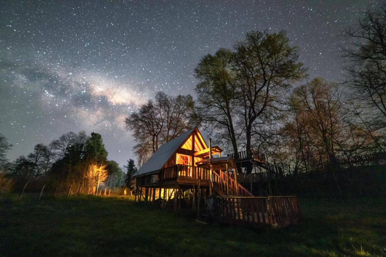 Caba�a NidosdeMelipeuco