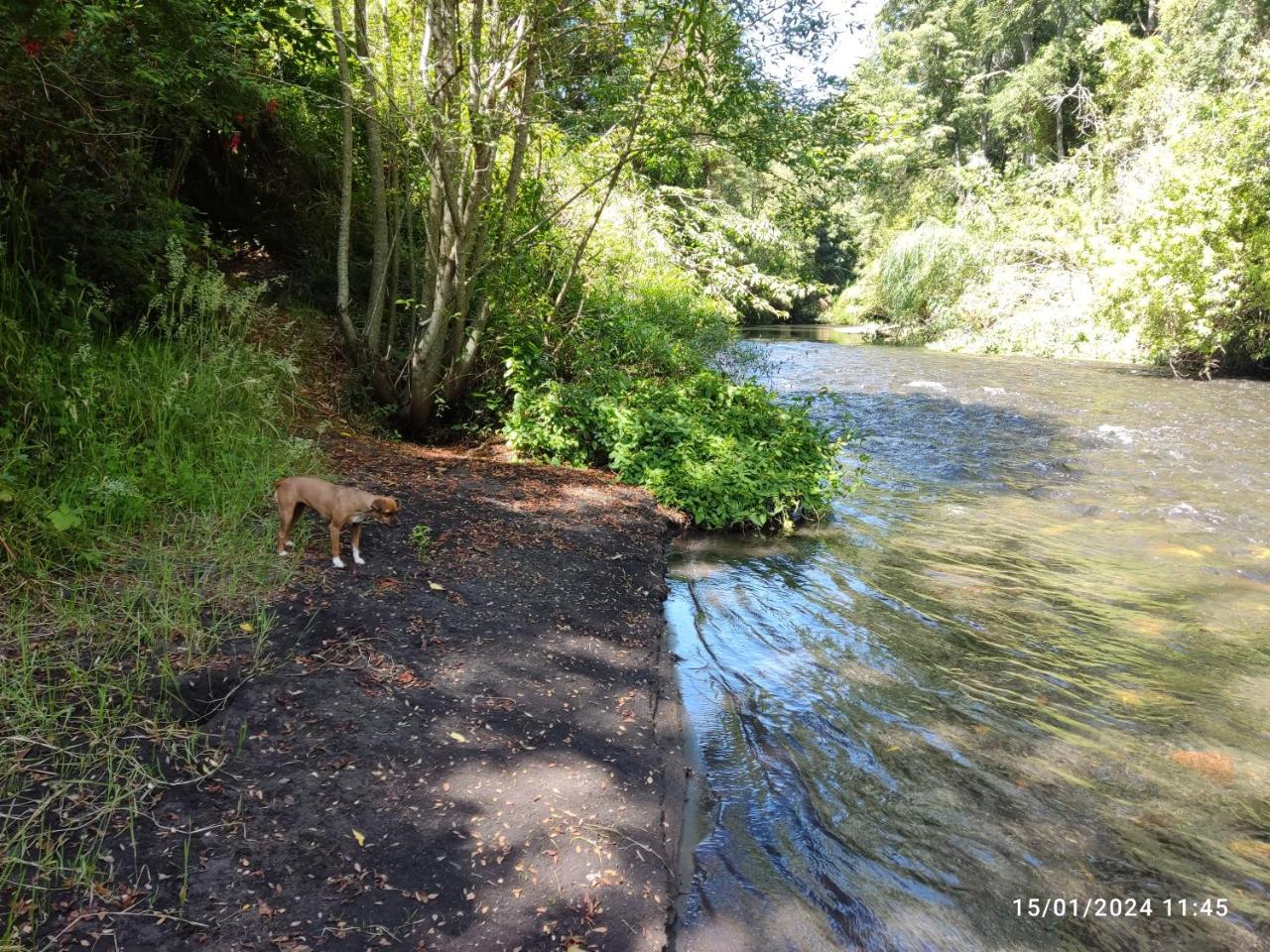 Villarrica Borde R�o