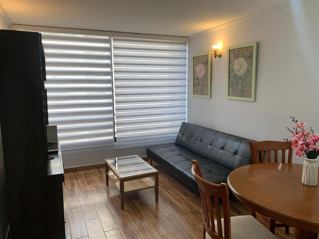 Apartamento c�modo y c�ntrico en Santiago