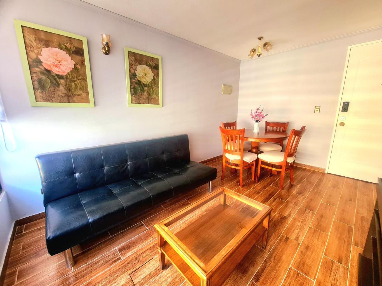 Apartamento 1 habitaci�n Santiago Centro