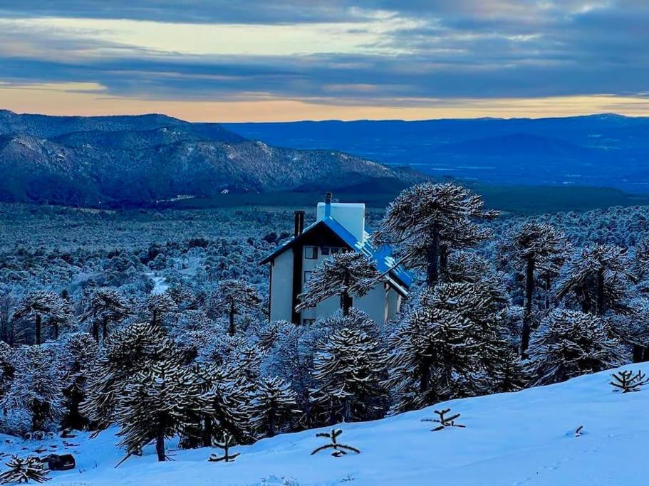 Refugio Las Araucarias Ski Center