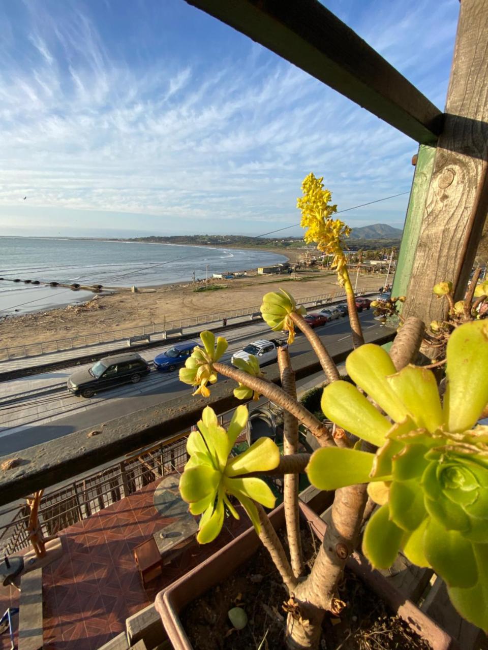 Pacifico Lodge Surf Conc�n