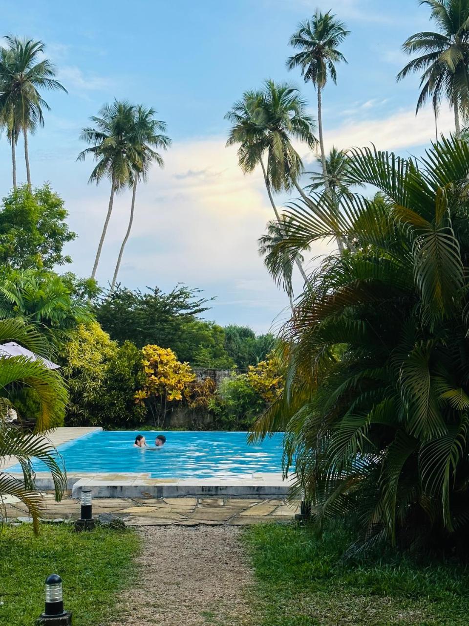 Image: Green Parrot Beach Resort