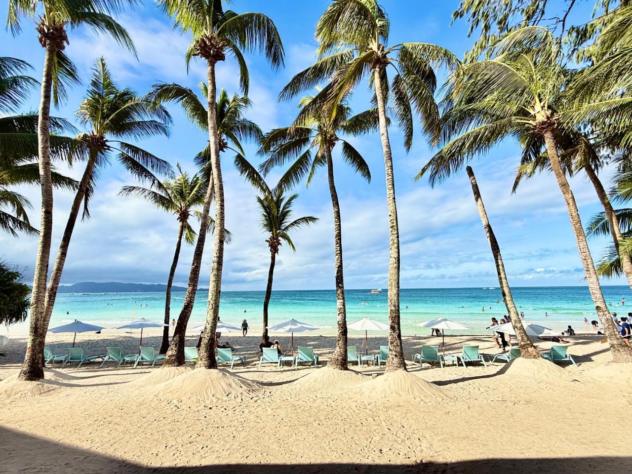 Image: Calypso Beach and Dive Resort