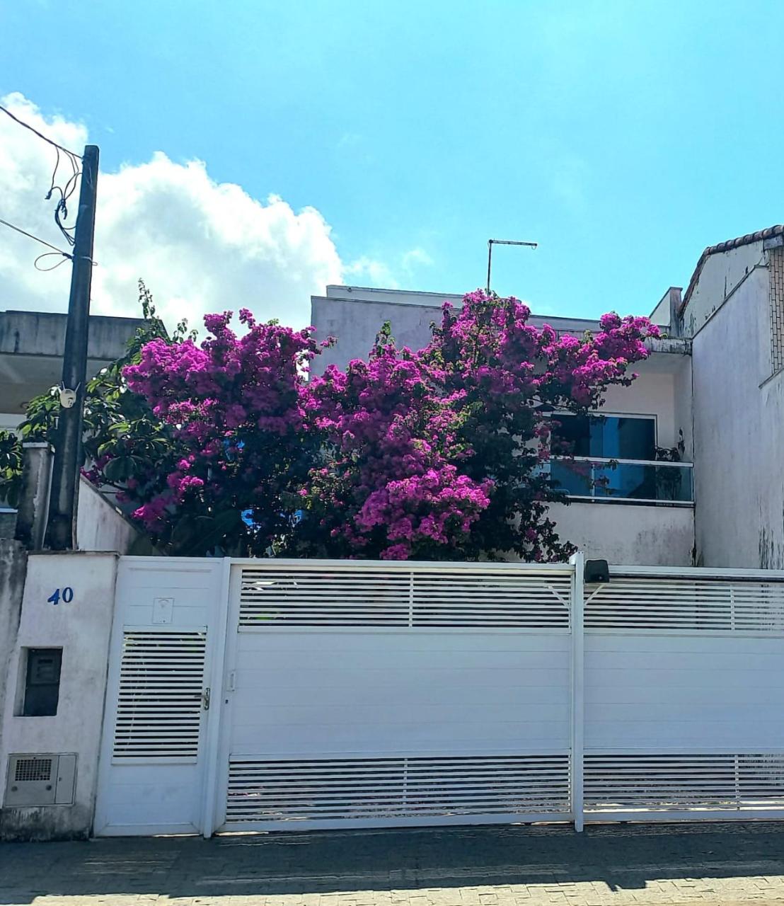 Image: Pousada Char