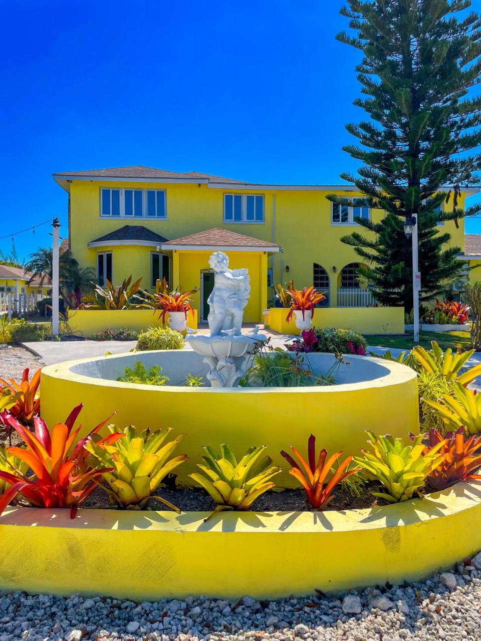 Image: Golden Palms House