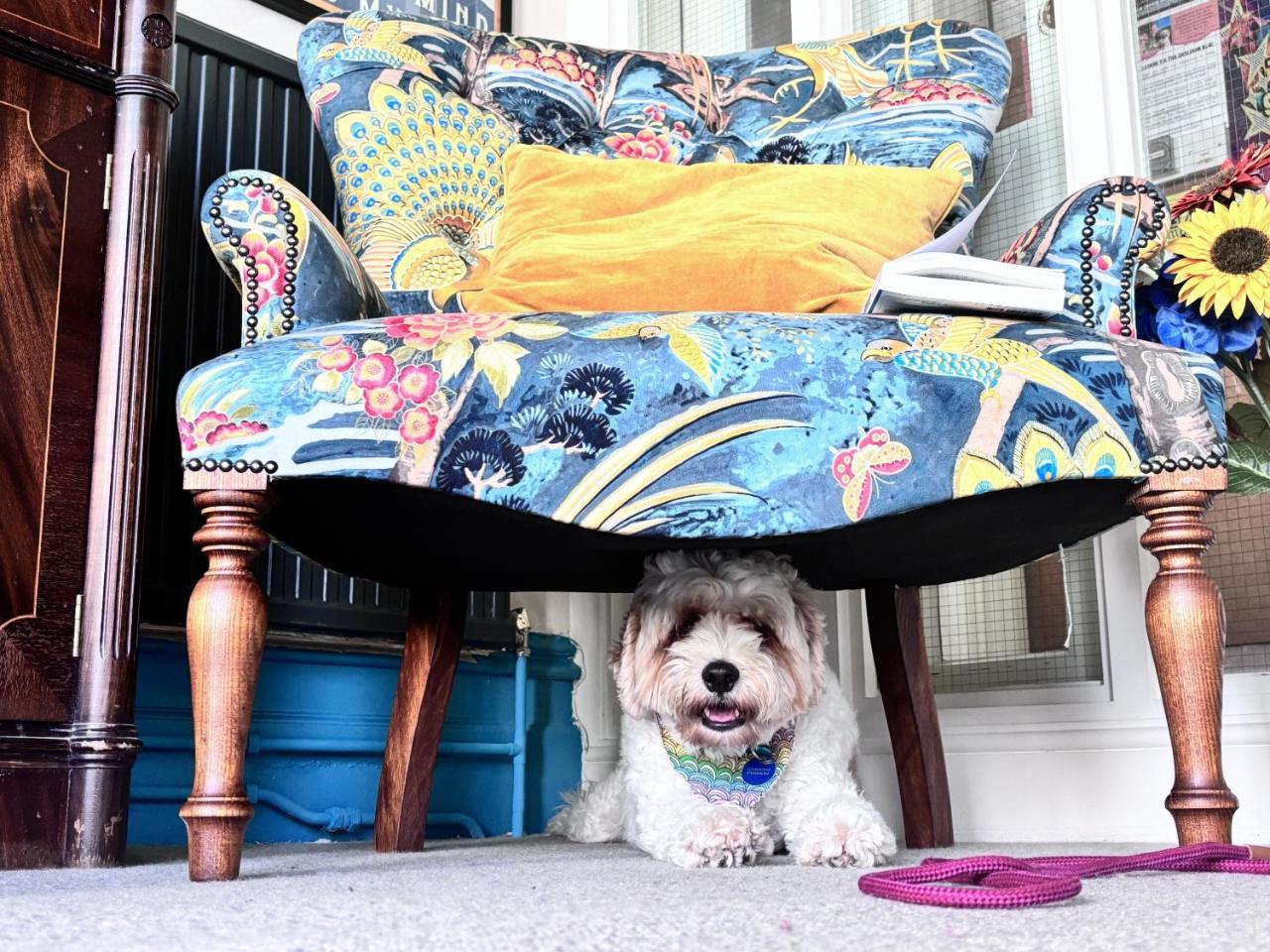 Image: The Sheldon B&B - FREE private parking