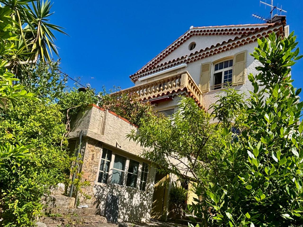 Image: Villa Tricia Cannes
