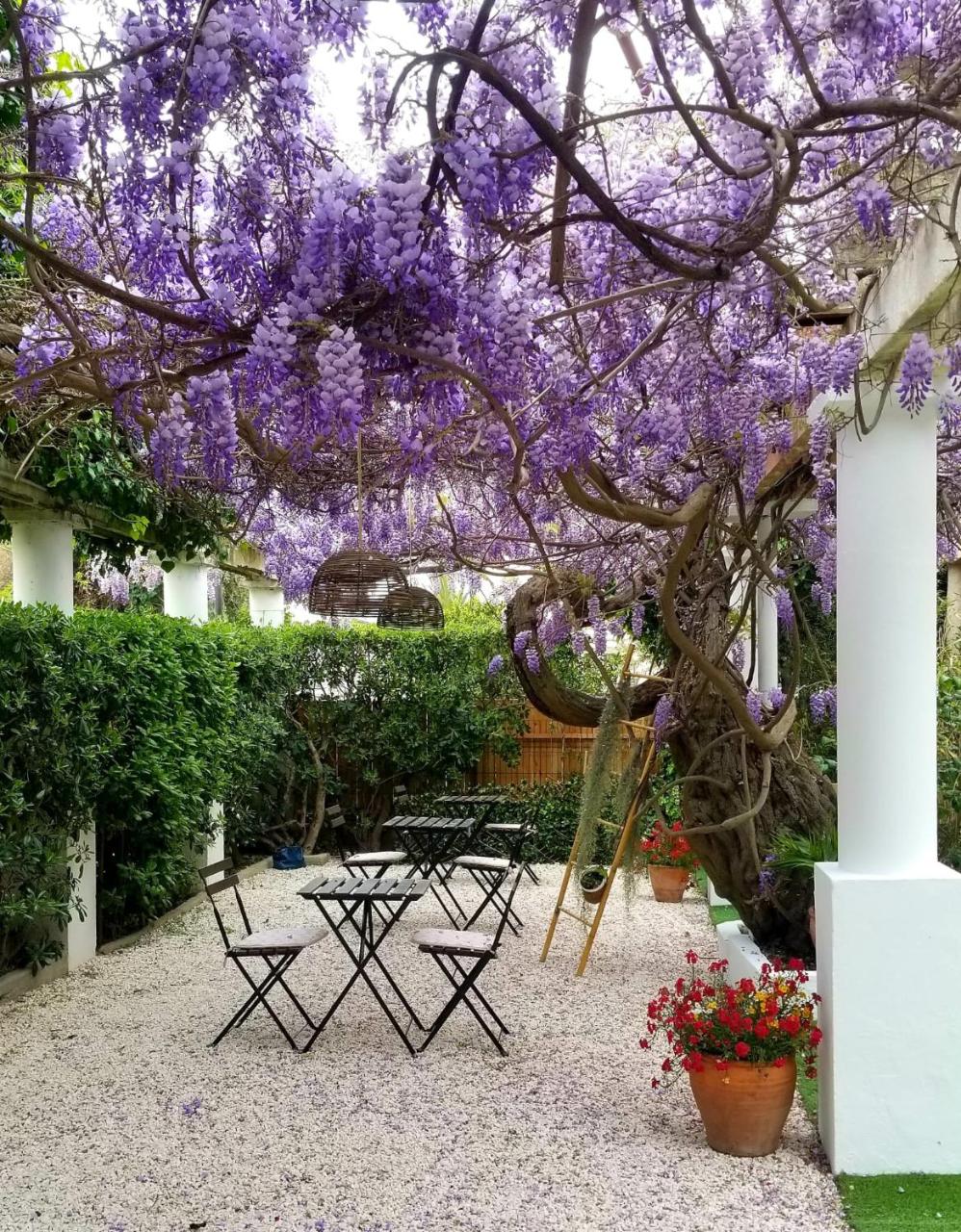 Image: Chez Louis