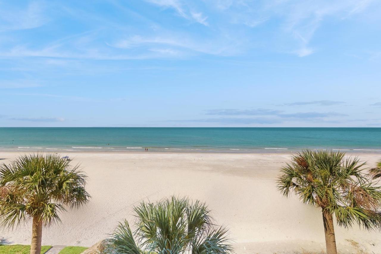 Image: Sea Oats 307