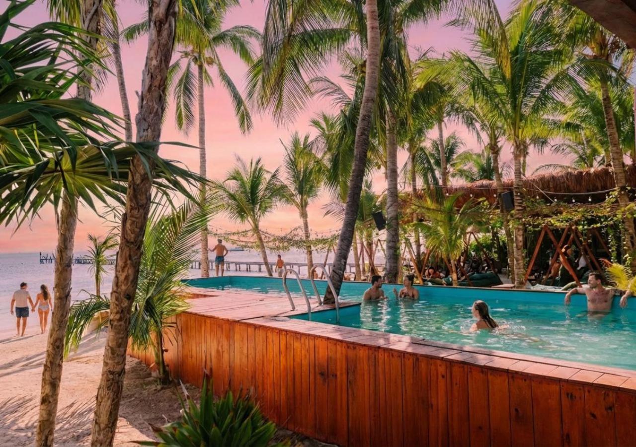 Image: Mayan Monkey Isla Mujeres - Social Hotel