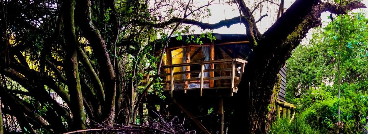 Reserva los Bollenes