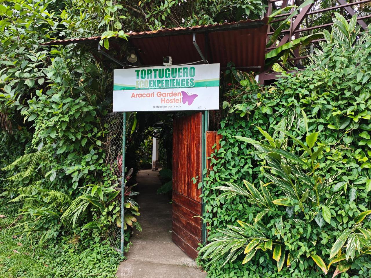 Image: Aracari Garden Hostel
