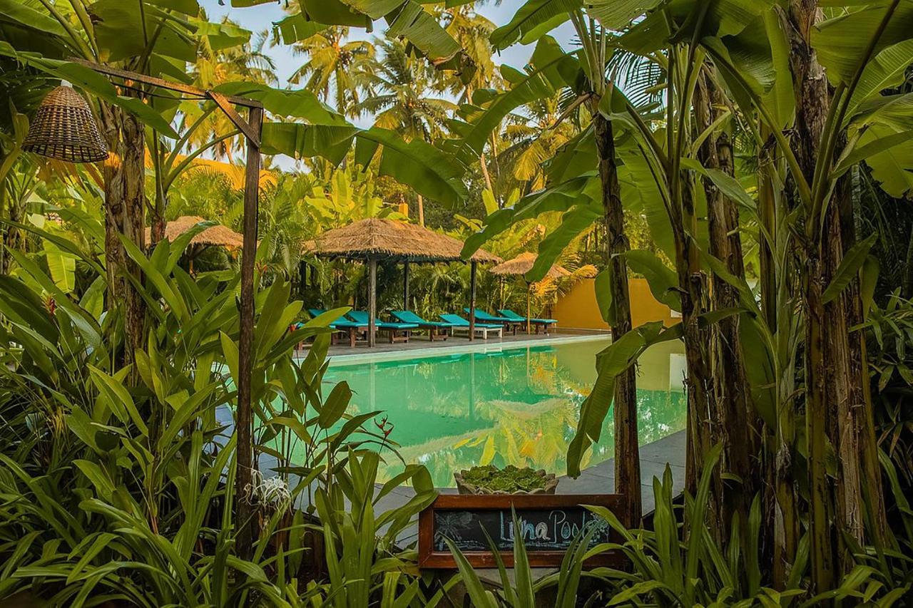 Image: juSTa Morjim Beach Resort Goa - 80 Steps from Morjim Beach