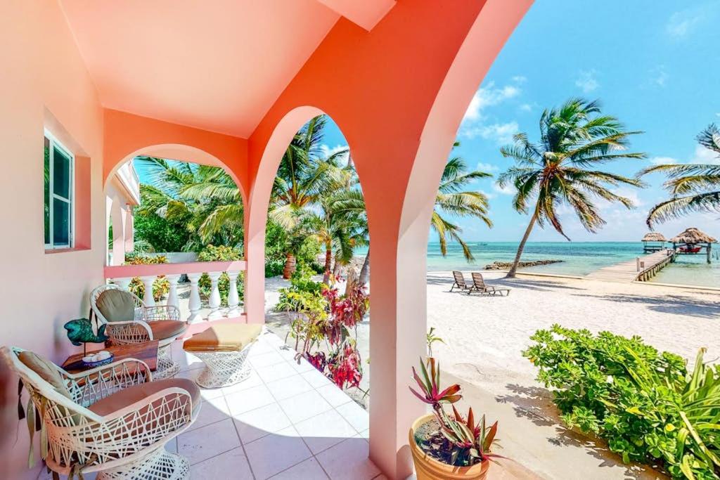 Image: Red Ginger @ Caribe Island