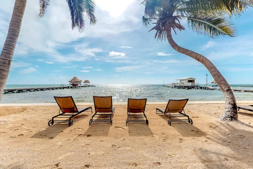 Image: Oleander @ Caribe Island