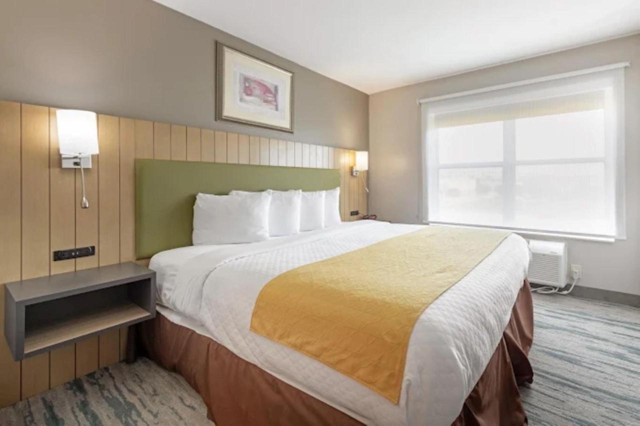Image: SureStay by Best Western Lewisville Dallas