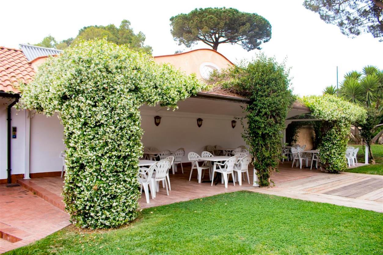 Hotel Mediterraneo photo