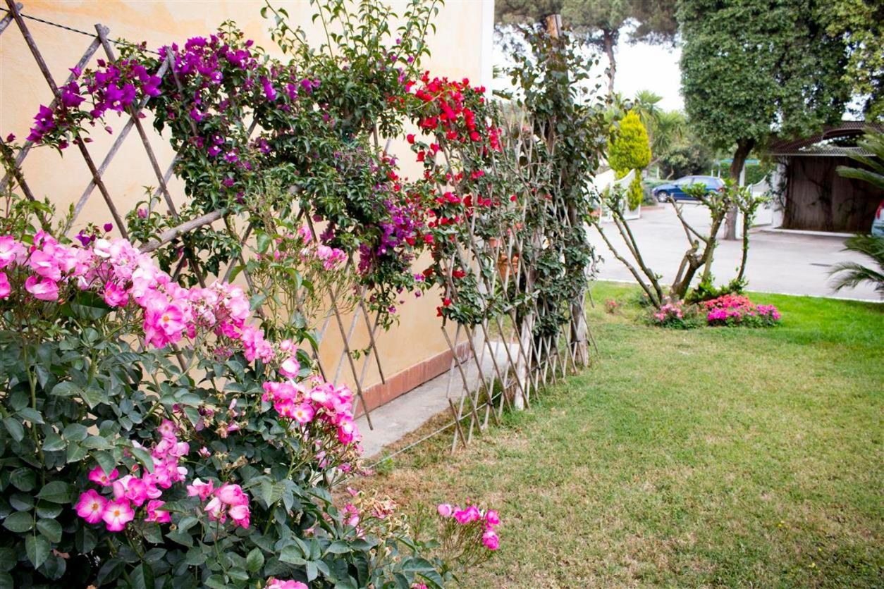 Hotel Mediterraneo photo