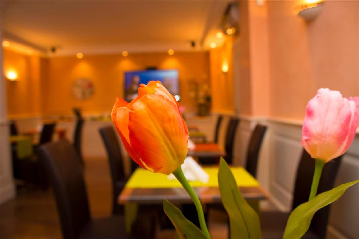 Hotel Mediterraneo photo