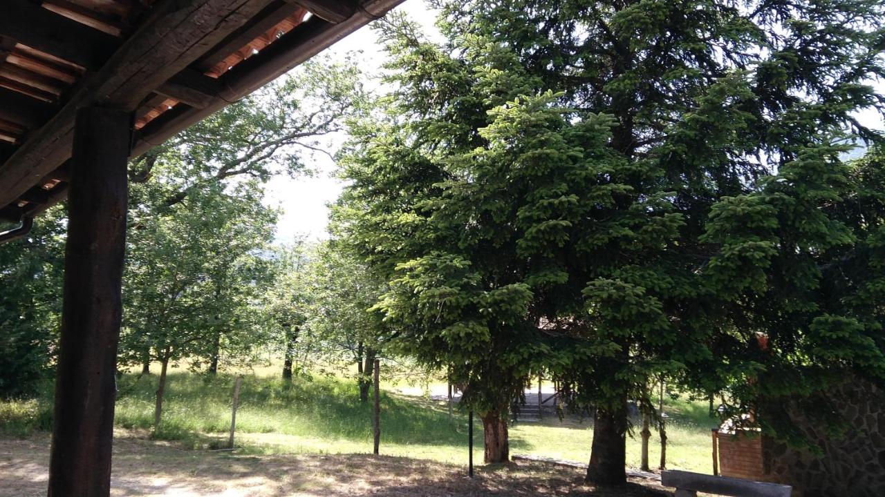 Agriturismo Collevento photo