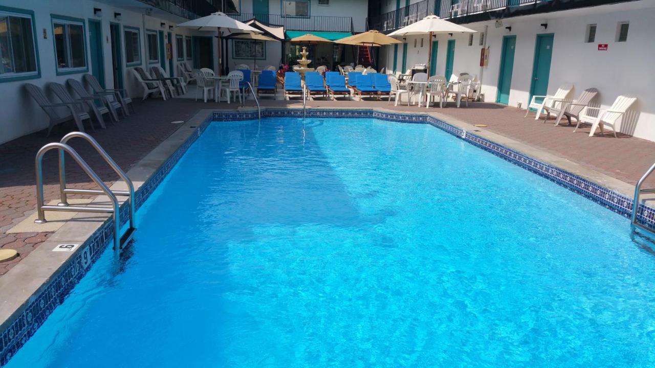 Heated swimming pool: The Amethyst Beach Motel