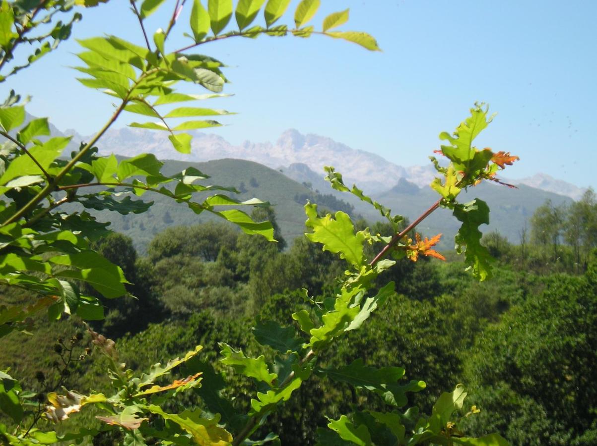 Casa Rural Alborada, Bobia de Arriba – Precios actualizados 2022
