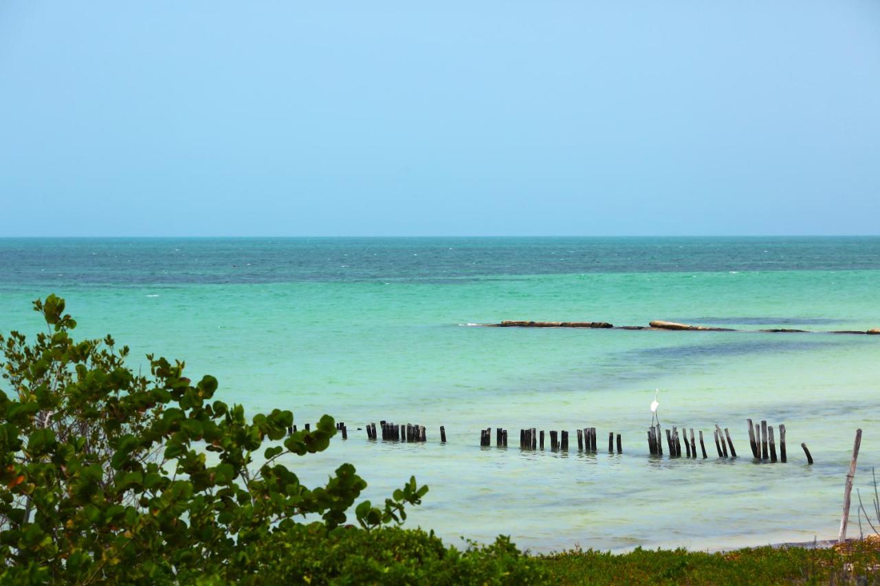 Beach: Spirit Holbox