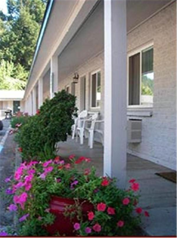 Forest Lodge Motel LLC — photo 17