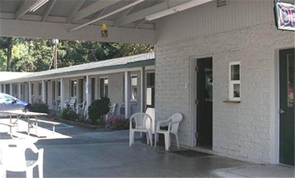 Forest Lodge Motel LLC — photo 18