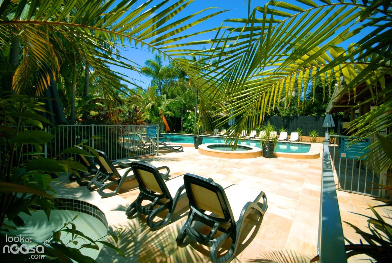 Heated swimming pool: Noosa village River Resort