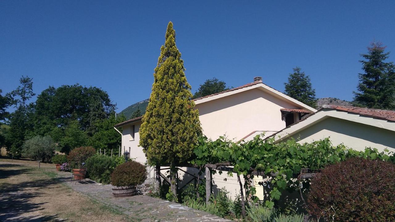 Agriturismo Collevento photo
