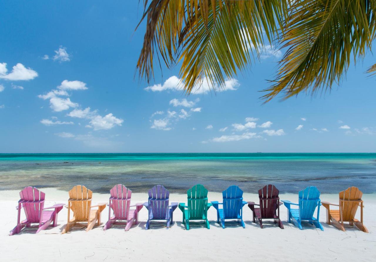 Divi Aruba Phoenix Beach Resort photo