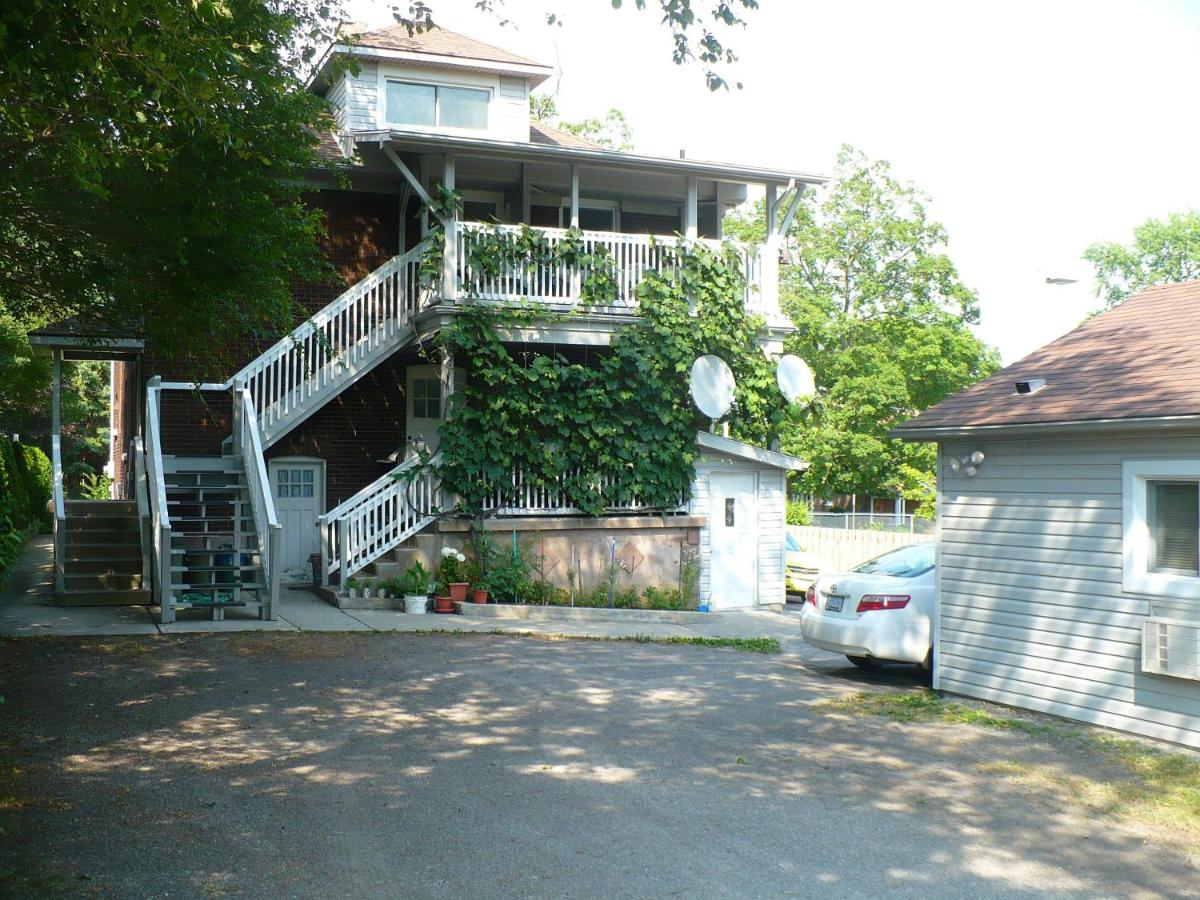 Rainbow House Bed & Breakfast — photo 5