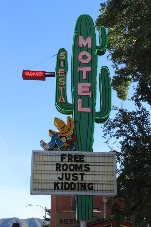 Siesta motel — photo 22