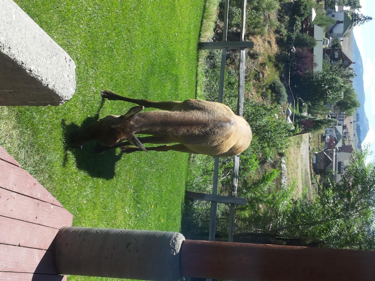 Absaroka Lodge — photo 14