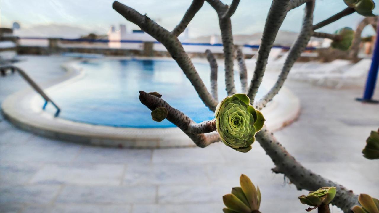Heated swimming pool: Stunning Villa 4BR in Mykonos