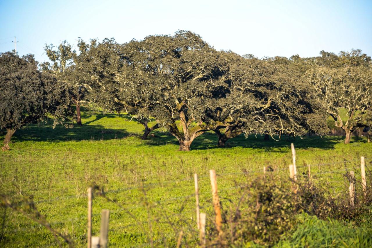 Arrifana Destination Suites - 4