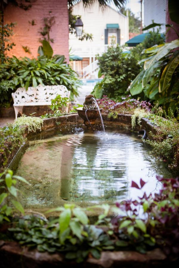Lamothe House Hotel a French Quarter Guest Houses Property — photo 14